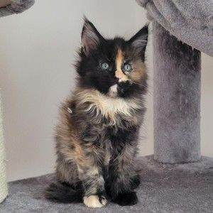 Meet your Posher, Judy
